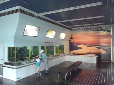 多摩川ふれあい水族館の写真1