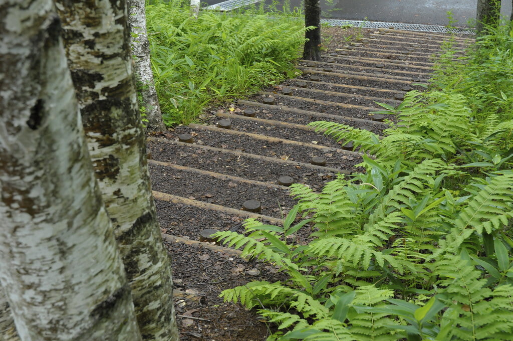 八ヶ岳自然文化園の写真2