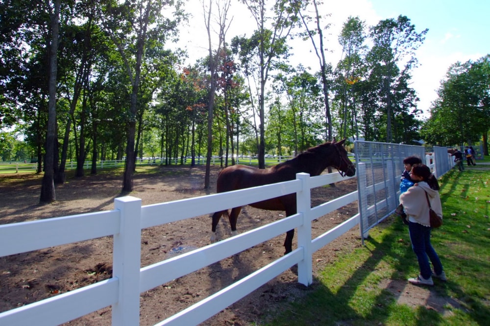 ノーザンホースパークの写真2