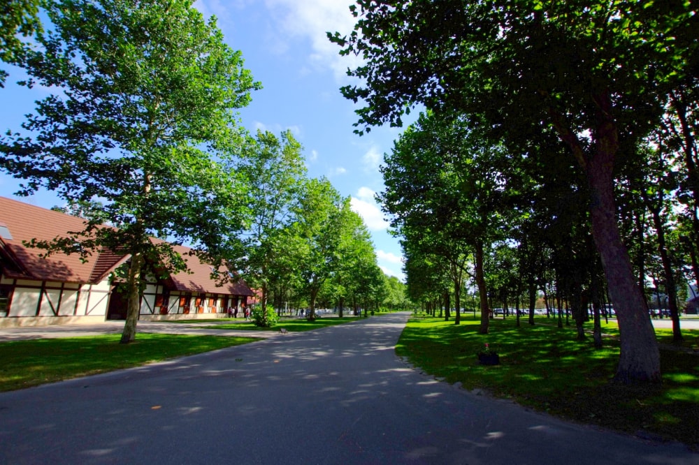 ノーザンホースパークの写真3