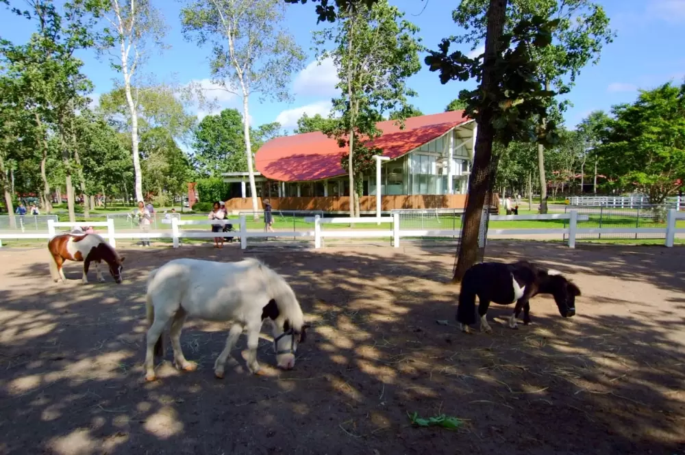 ノーザンホースパークの写真1