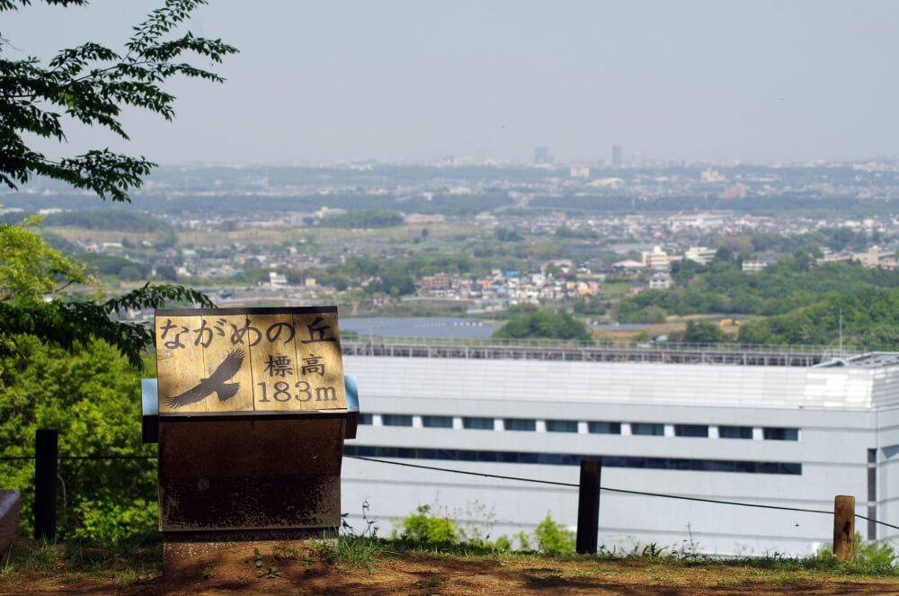 神奈川県立 七沢森林公園の写真3