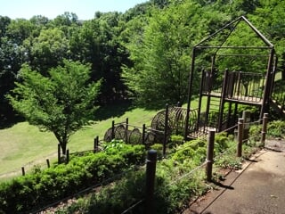 神奈川県立 七沢森林公園の写真8