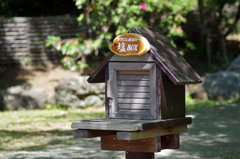 神奈川県立 七沢森林公園の写真10