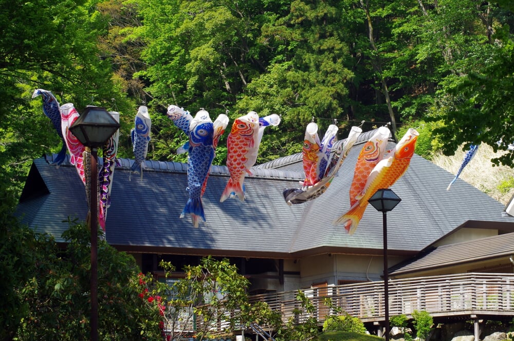 神奈川県立 七沢森林公園の写真11