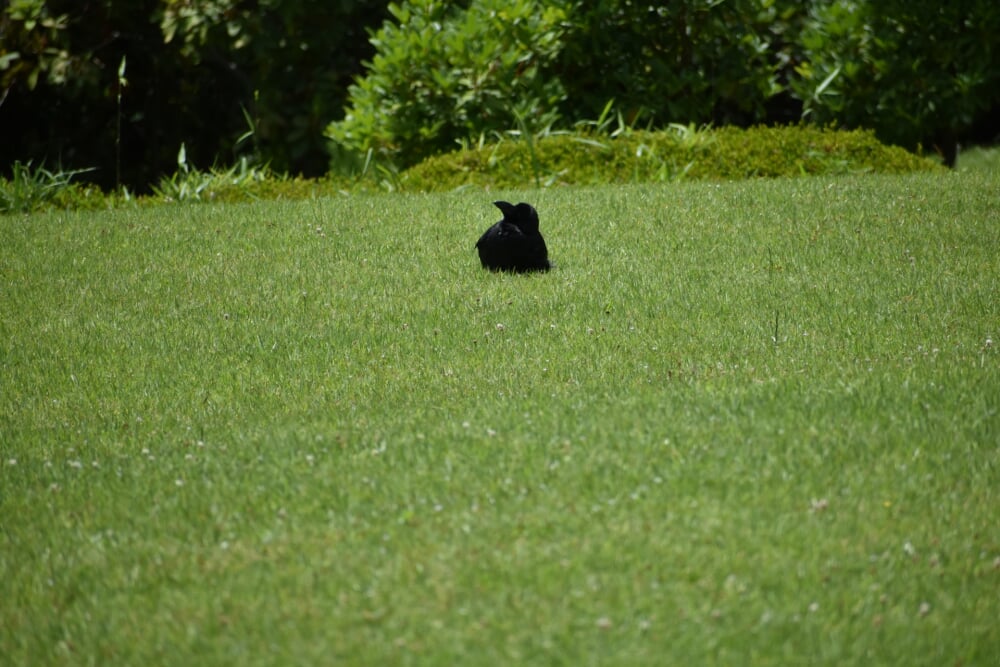 神奈川県立 七沢森林公園の写真13