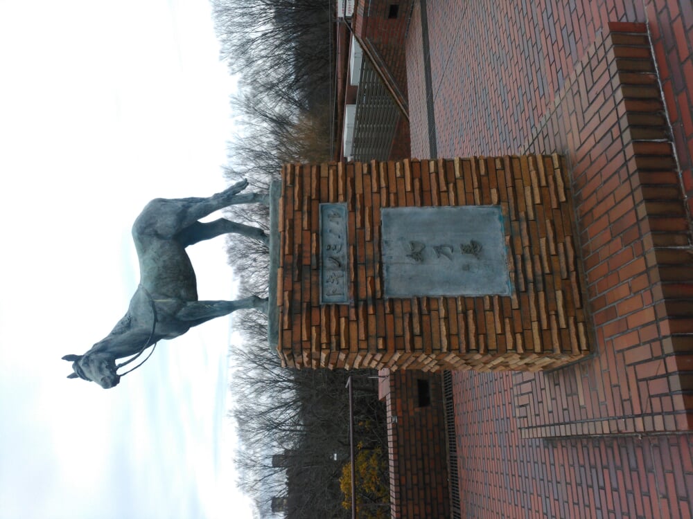 馬の博物館の写真2