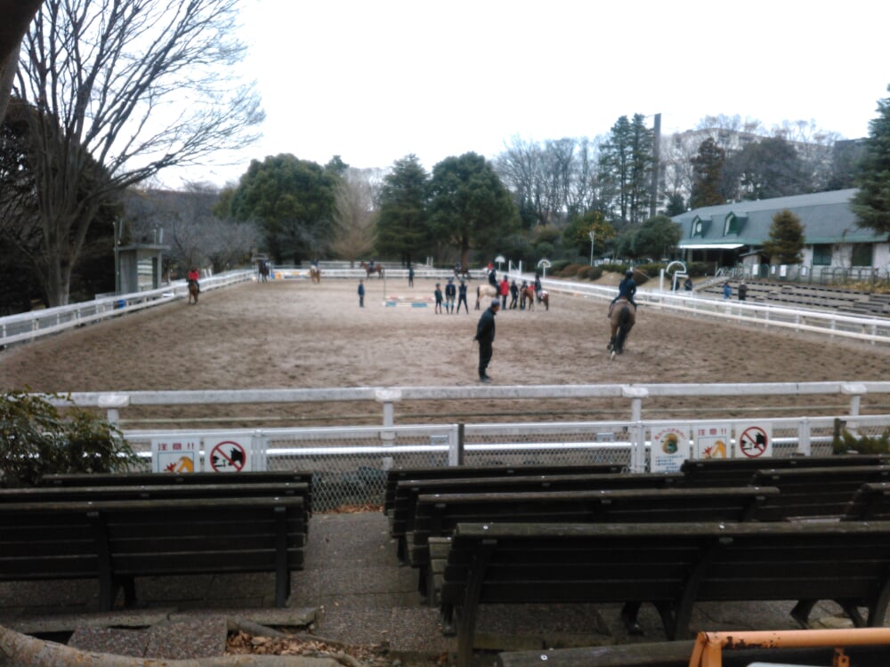 馬の博物館の写真5