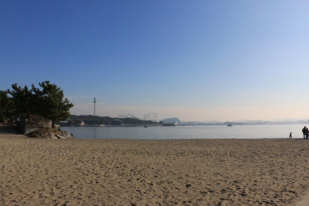 海の公園　潮干狩り場の写真2