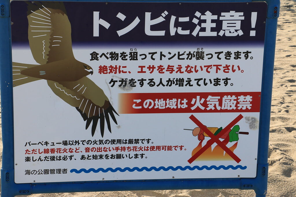 海の公園　潮干狩り場の写真4