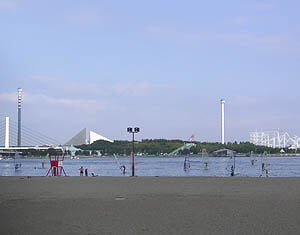 海の公園　潮干狩り場の写真5