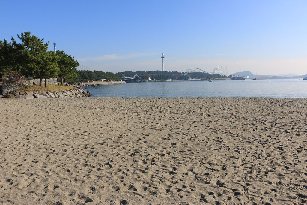 海の公園　潮干狩り場の写真1