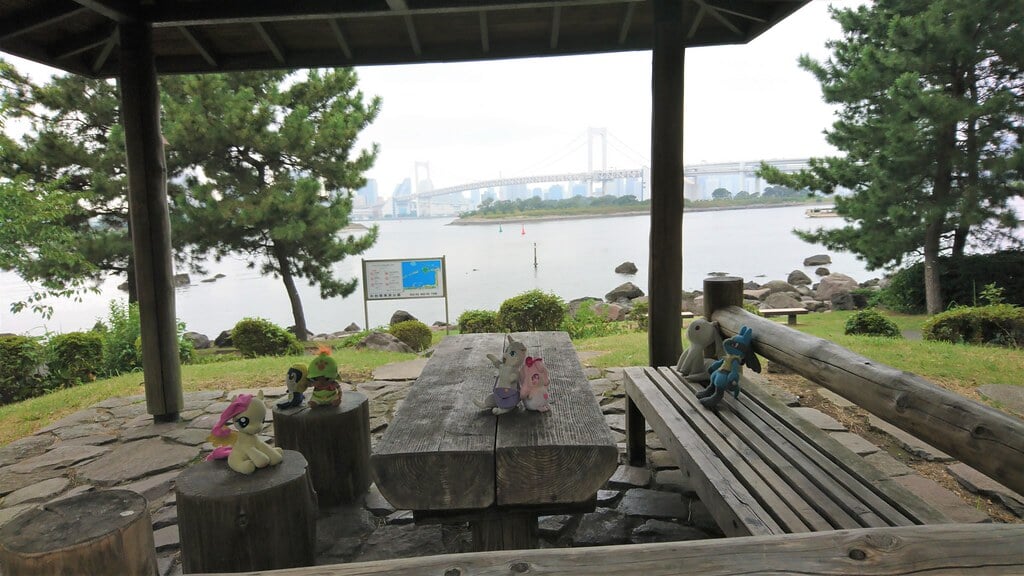 お台場海浜公園の写真9