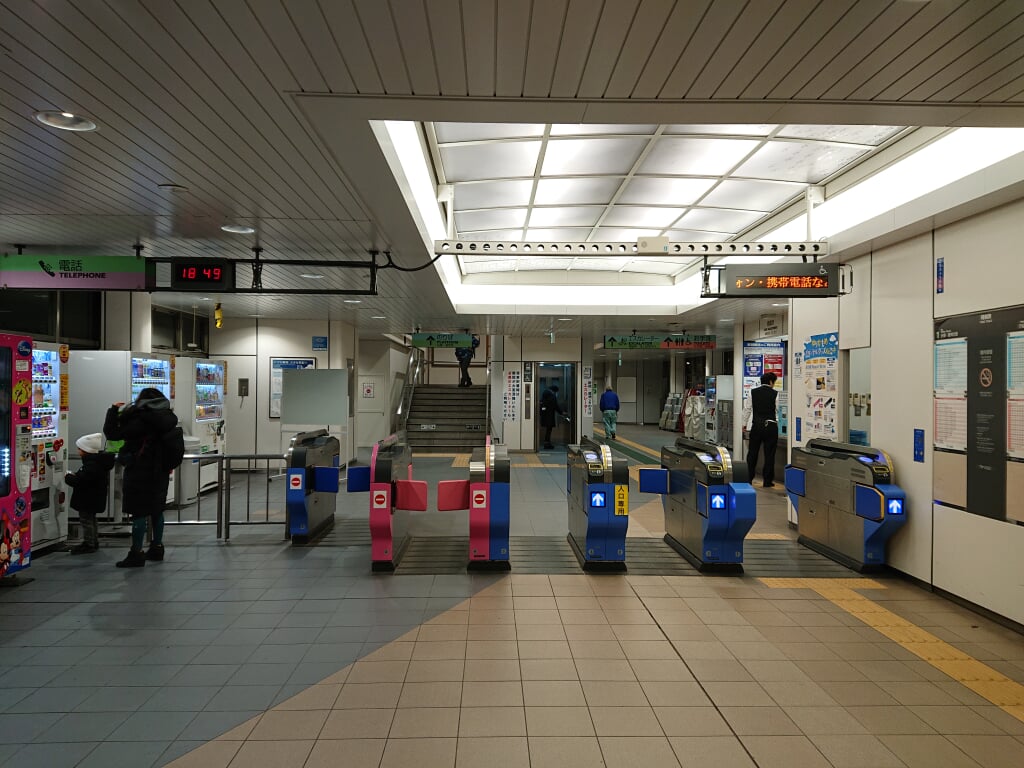 お台場海浜公園の写真15