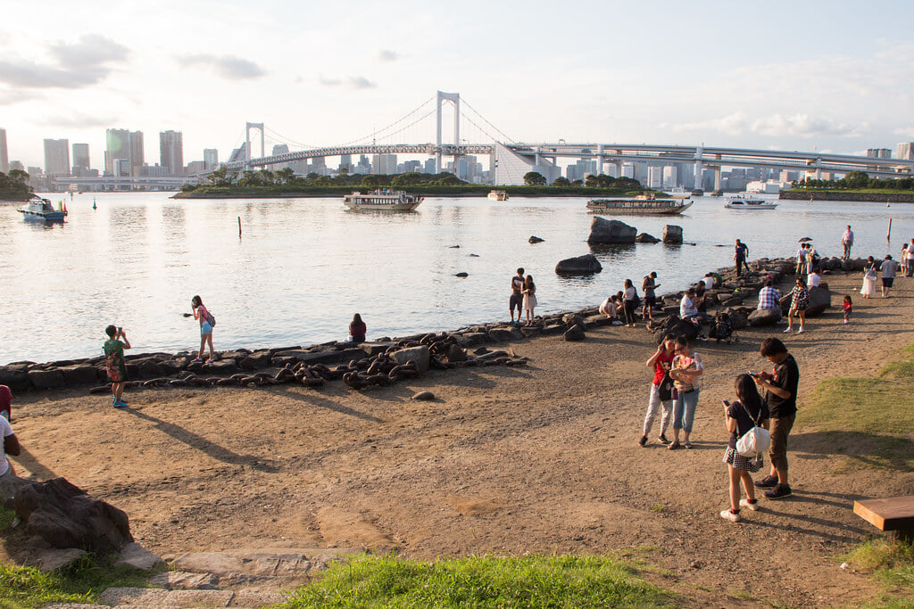 お台場海浜公園の写真17