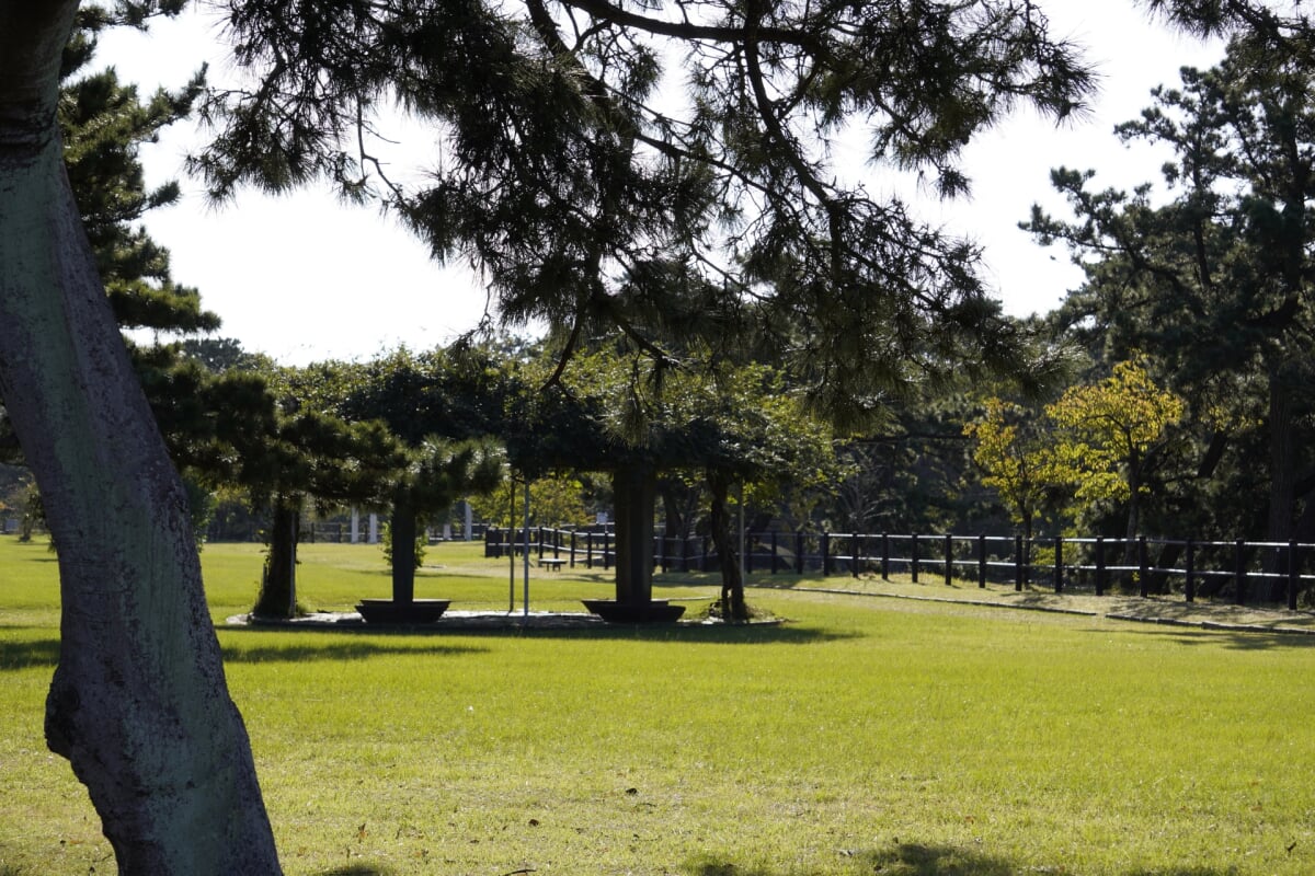 千葉県立富津公園・ジャンボプールの写真3