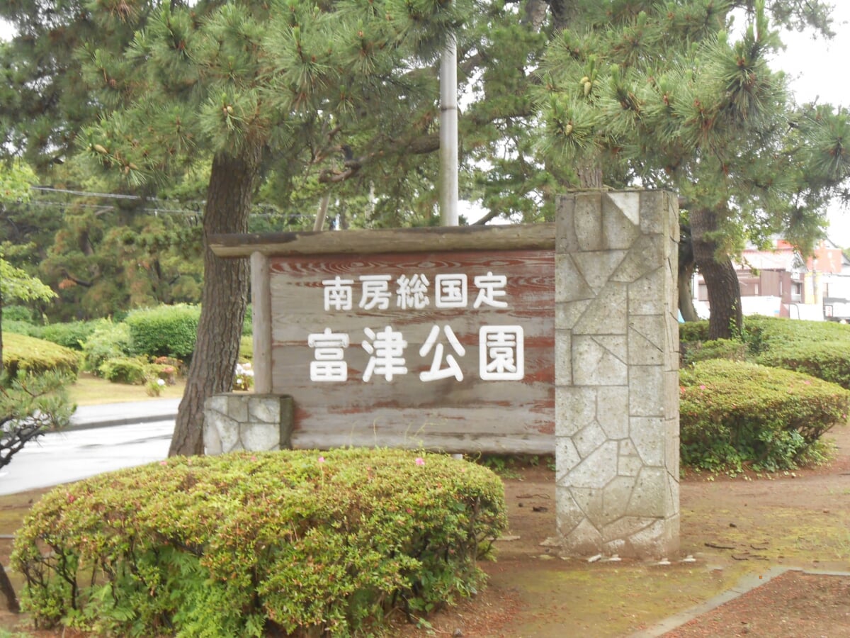 千葉県立富津公園・ジャンボプールの写真1