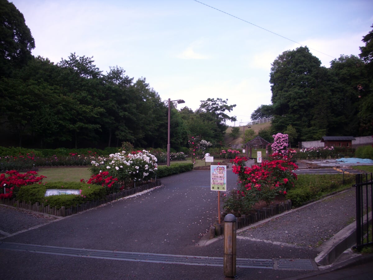 綾瀬市　城山公園の写真2