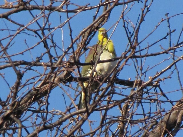 綾瀬市　城山公園の写真3