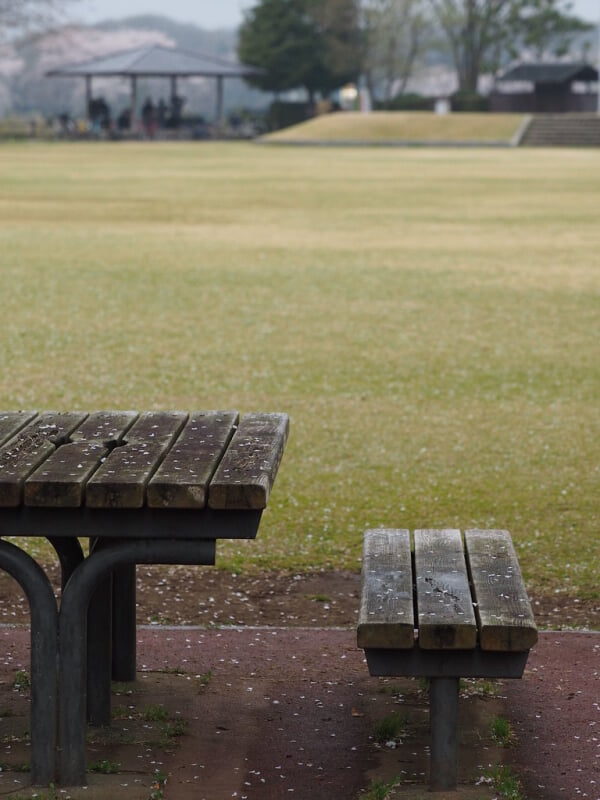 砂沼広域公園の写真3
