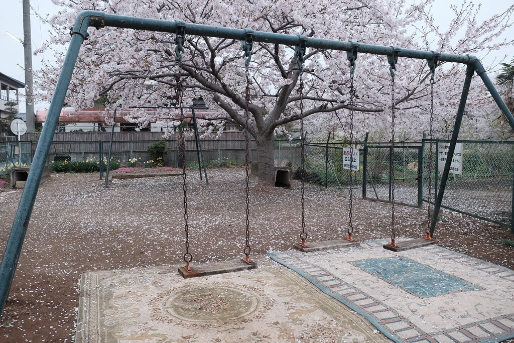 砂沼広域公園の写真8