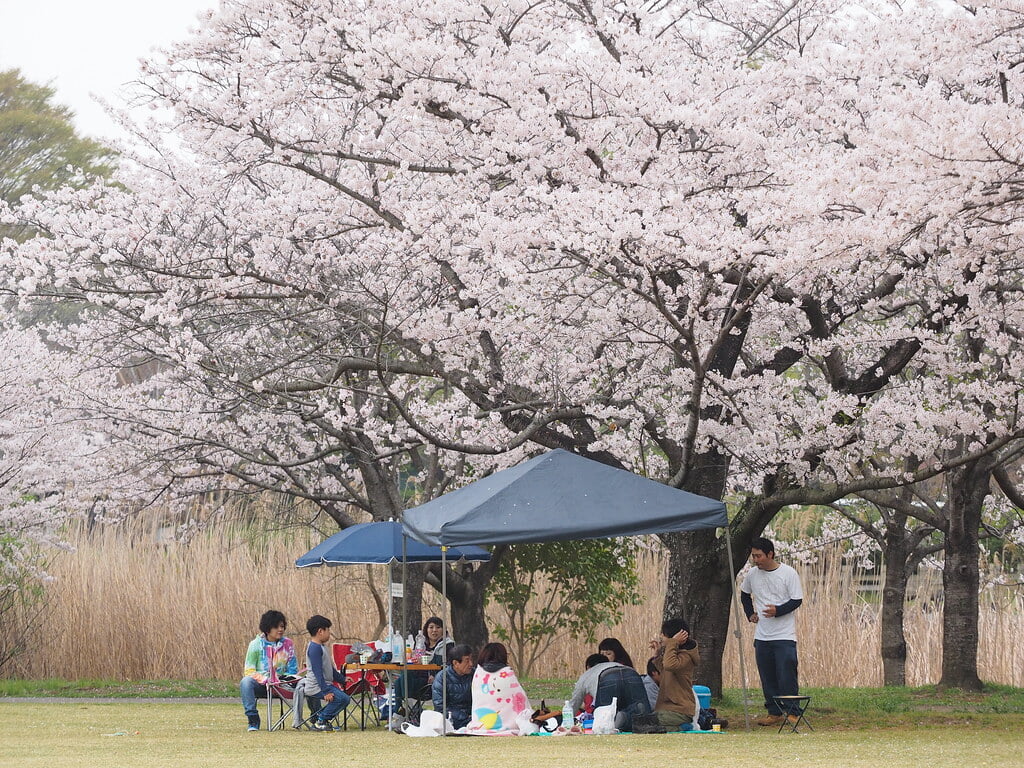 砂沼広域公園の写真1