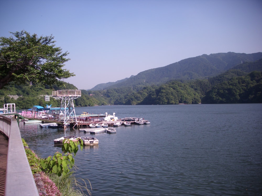 県立相模原公園の写真2