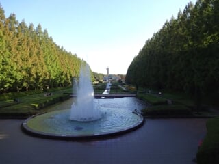 県立相模原公園の写真3