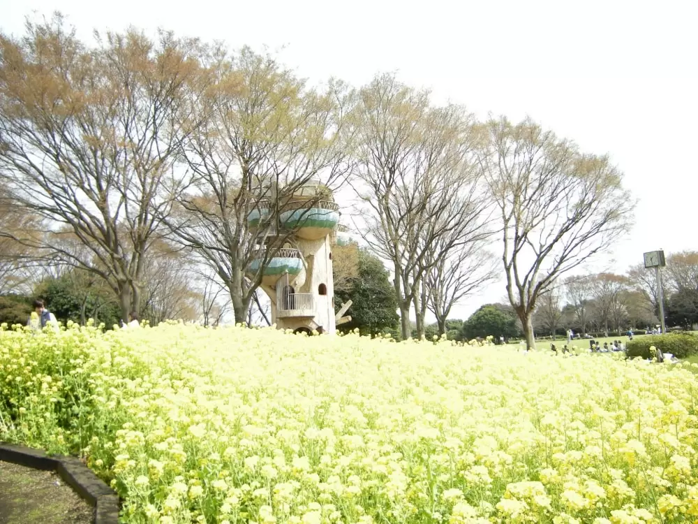 県立相模原公園の写真1