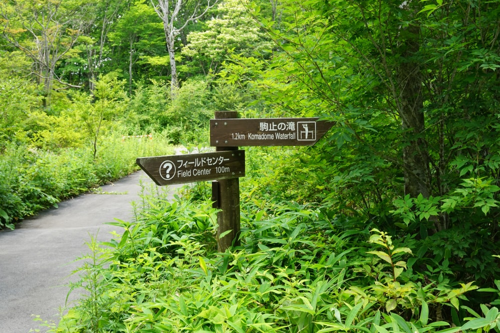 那須平成の森の写真3