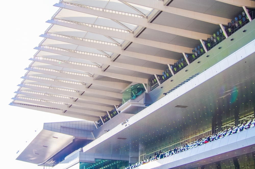 中京競馬場の写真3