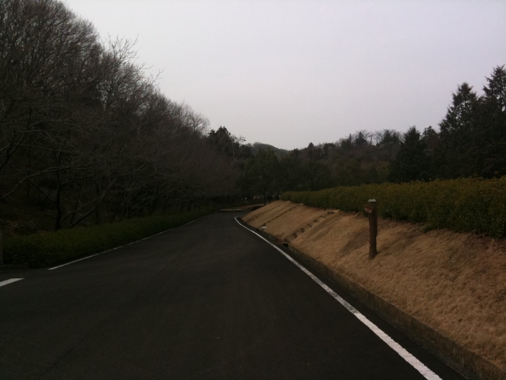 満濃池森林公園の写真2