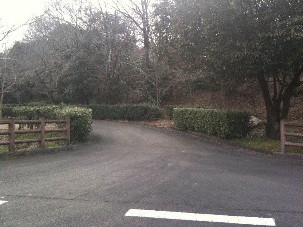 満濃池森林公園の写真3