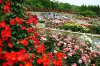 兵庫県立播磨中央公園