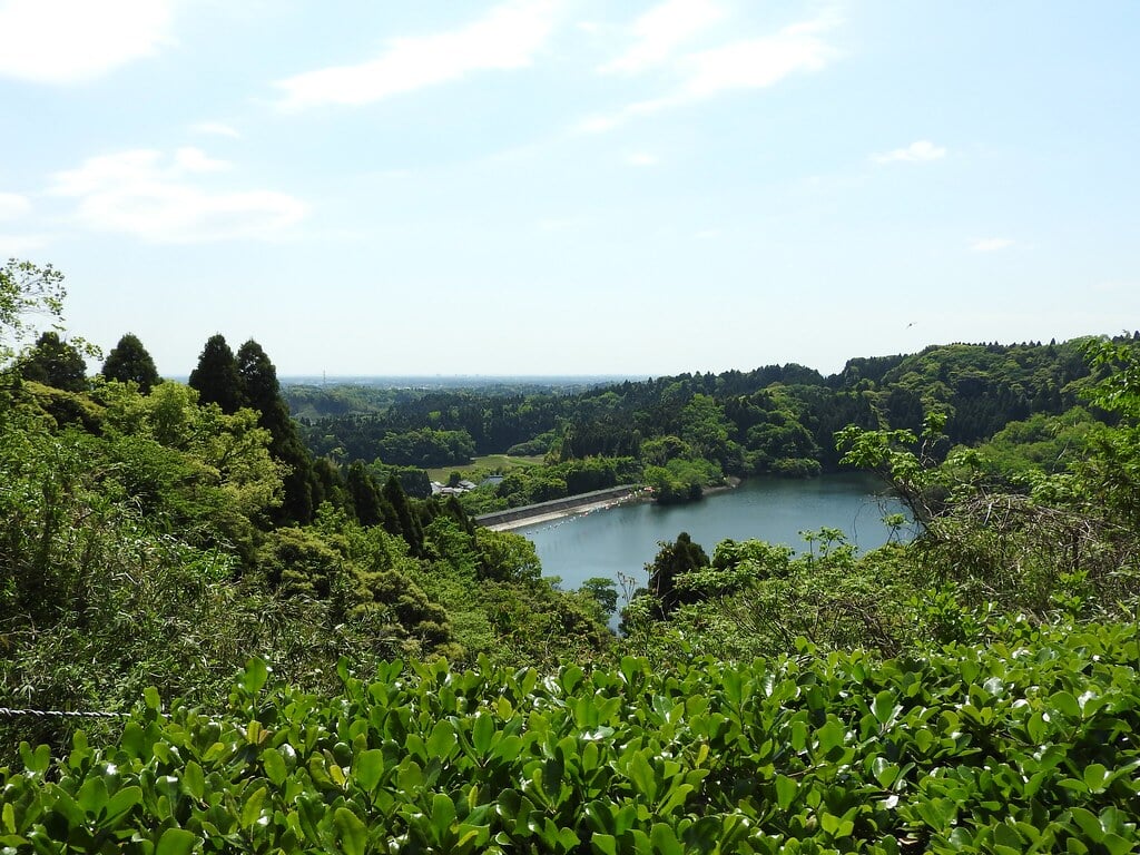 昭和の森の写真5