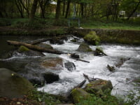 湯川ふるさと公園