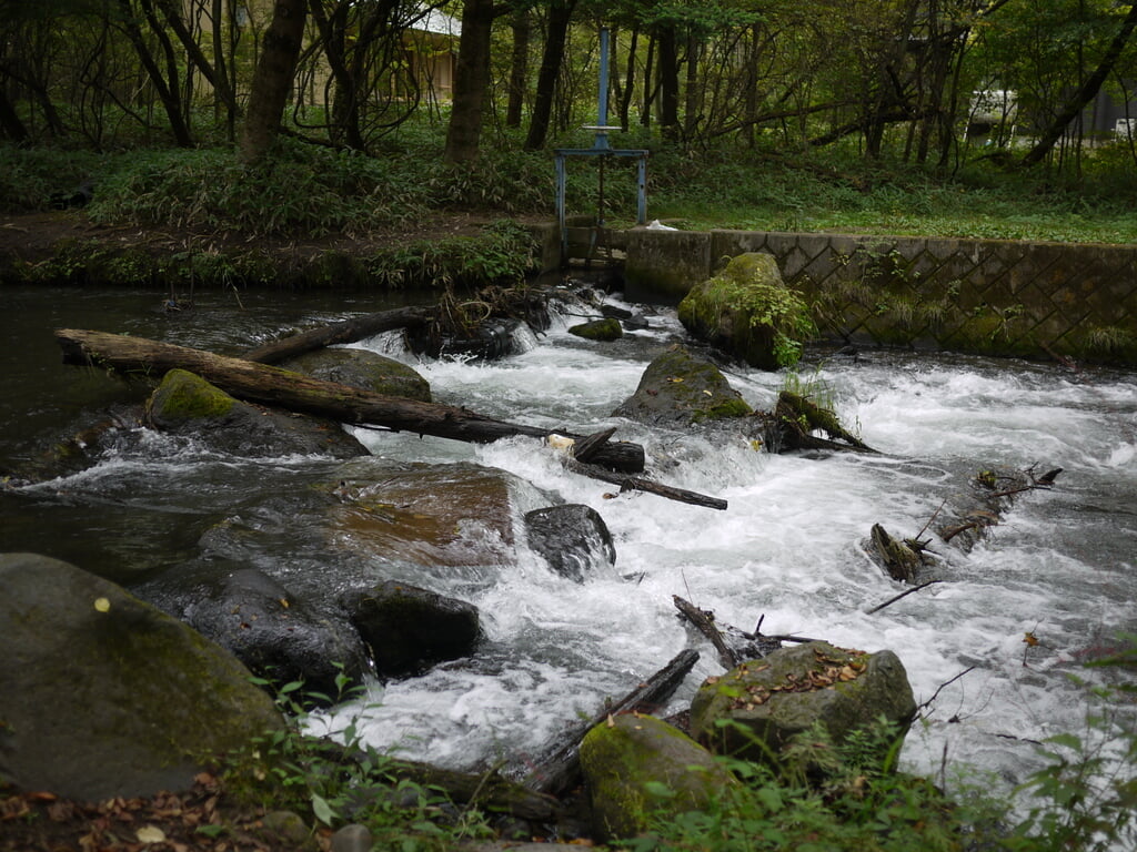 湯川ふるさと公園の写真1