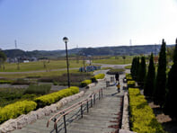 水の江公園の写真1