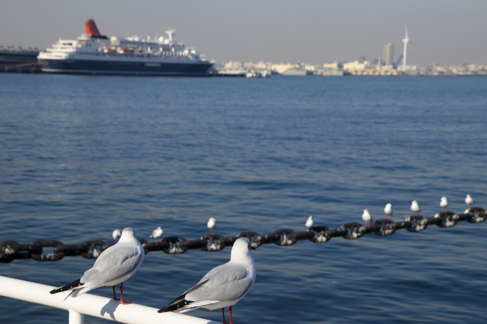 山下公園の写真3