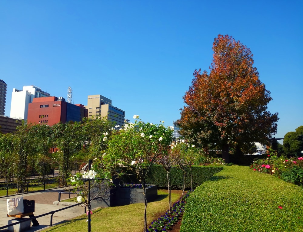 山下公園の写真6