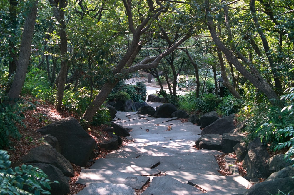 駒沢オリンピック公園の写真4