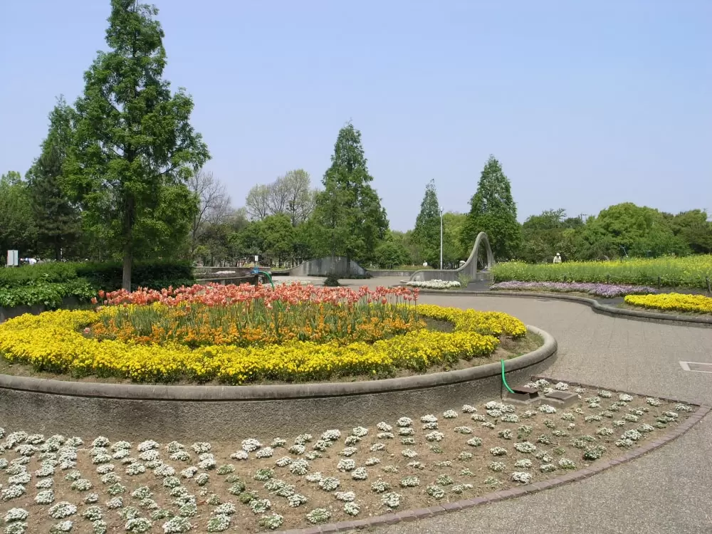 久宝寺緑地の写真1