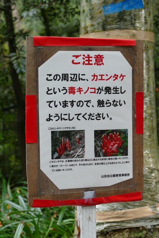 山田池公園の写真4