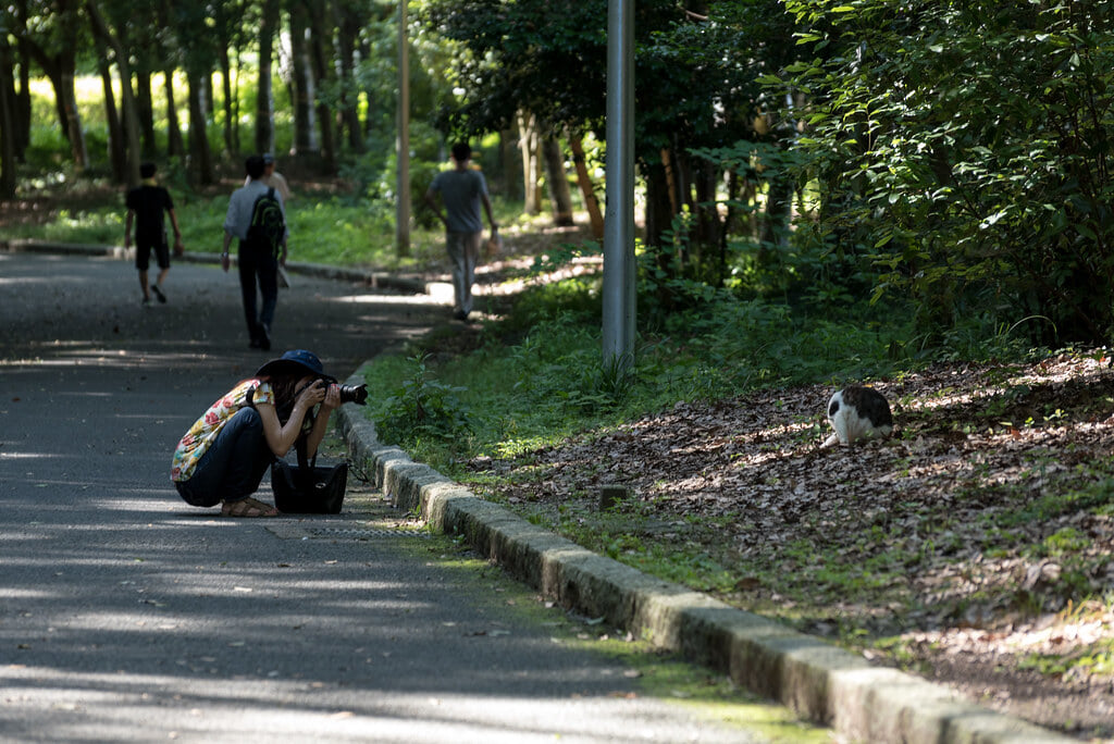 山田池公園の写真7