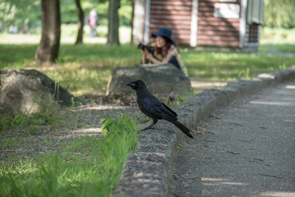 山田池公園の写真9