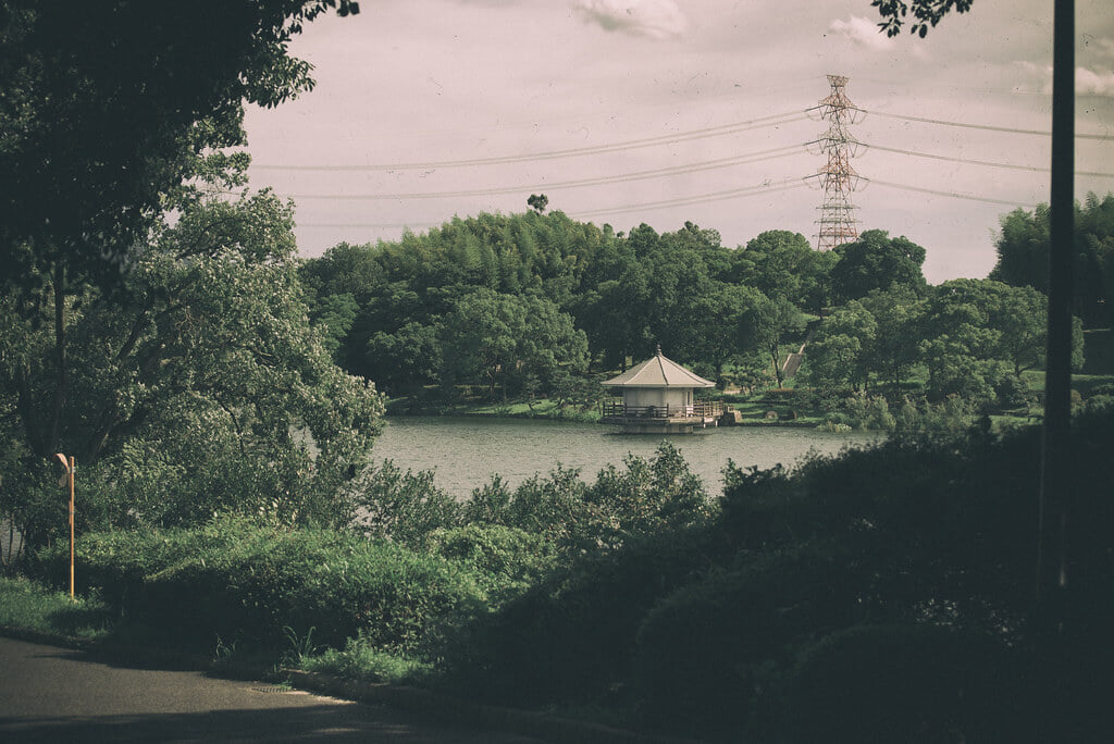 山田池公園の写真10