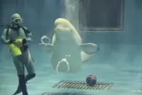 島根県立しまね海洋館アクアス