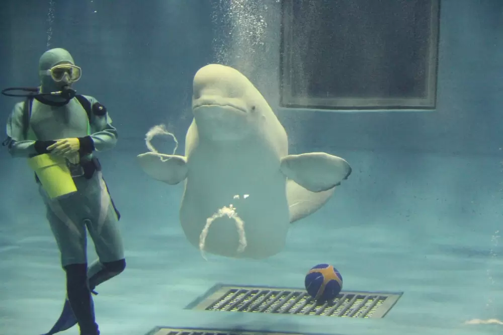 島根県立しまね海洋館アクアスの写真1