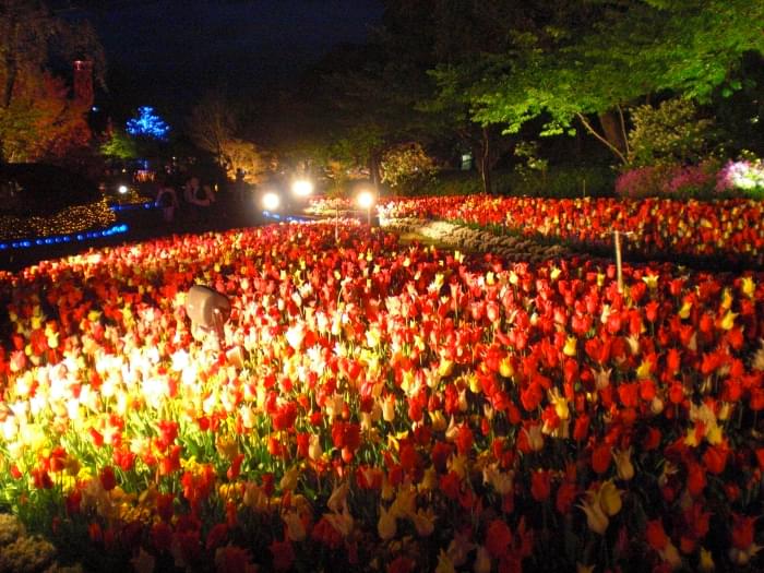 なばなの里の写真3