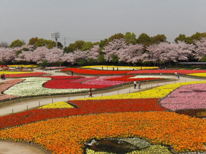 なばなの里の写真4